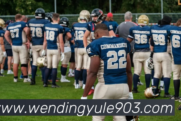 问鼎娱乐平台生态图