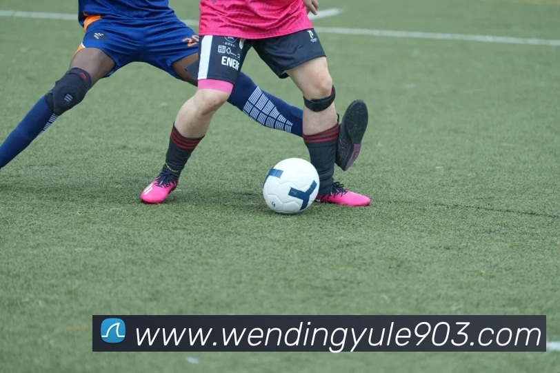 数据防护可视化